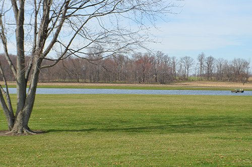 Property photo 79 - REAL ESTATE & PERSONAL PROPERTY AUCTION, 140 Acres offered in 8 Tracts or Combinations in Steuben County
